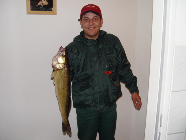 --Zander () -  1 -  ()