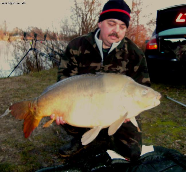 --karp 21.700 -  ()