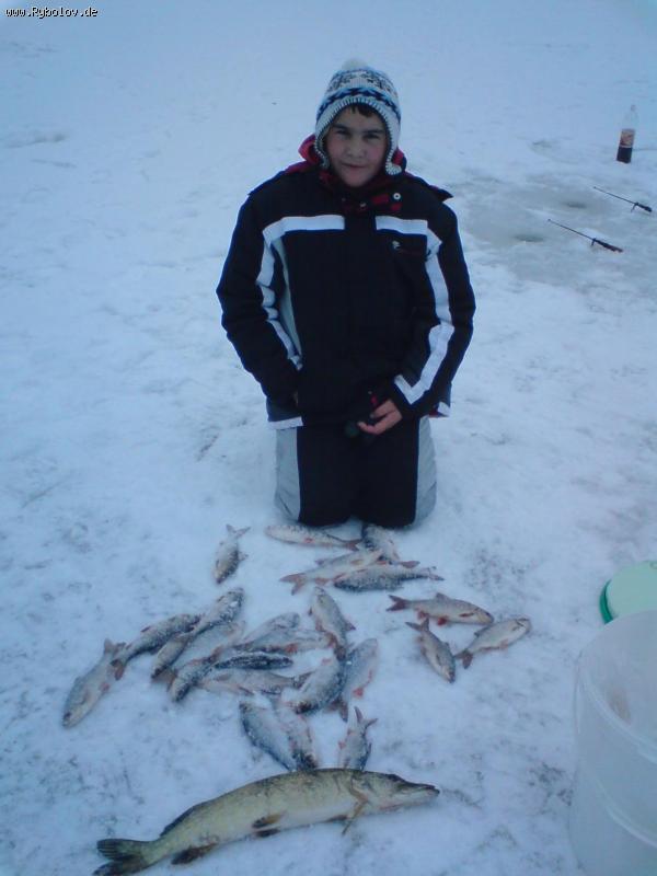 --Bleiloch 02.01.2011 -  ()