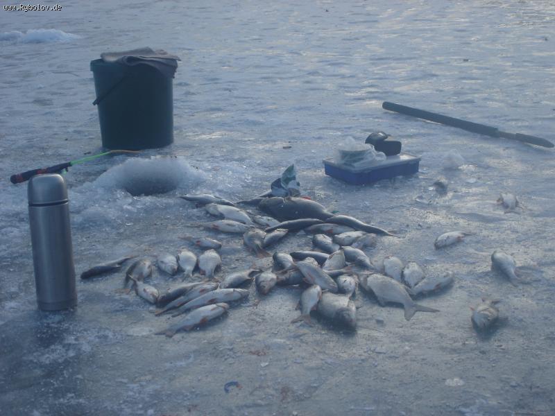 --������ - ������� (����������)