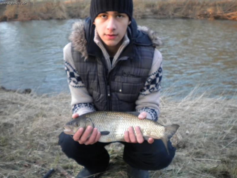 --�������� �������, - ������� (����������)