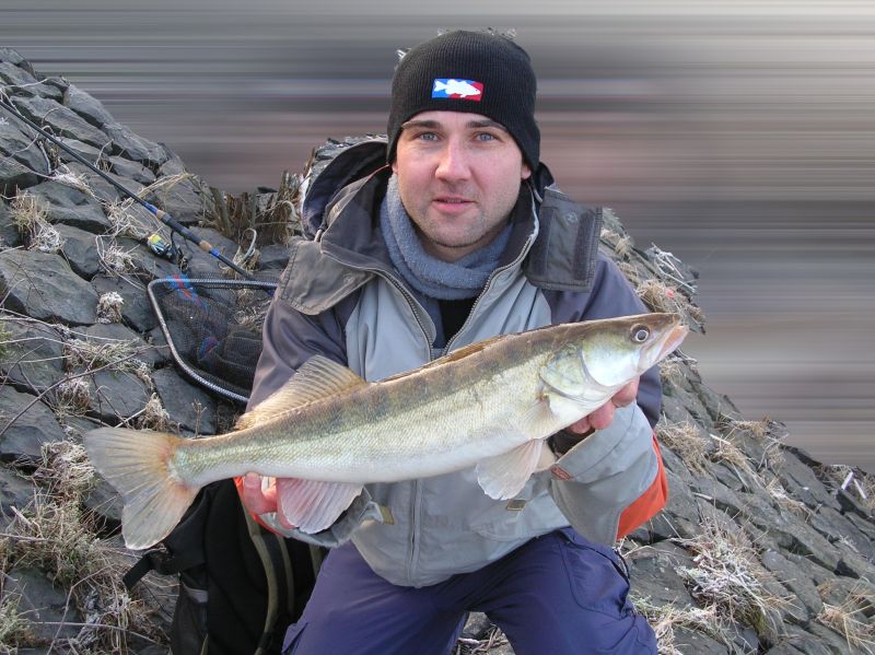 --Zander 2011 -  ()