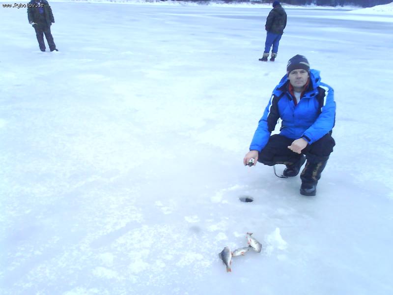 --����� �� ����� - ������� (����������)