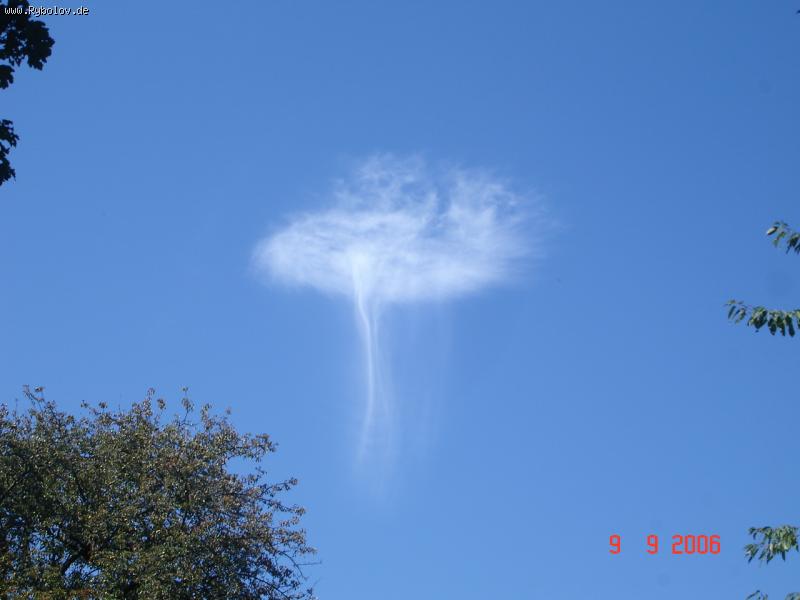 --������... - ������� (����������)