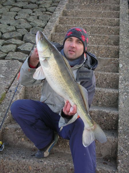 --Zander 80 -  ()