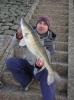 Zander 80 -  ()