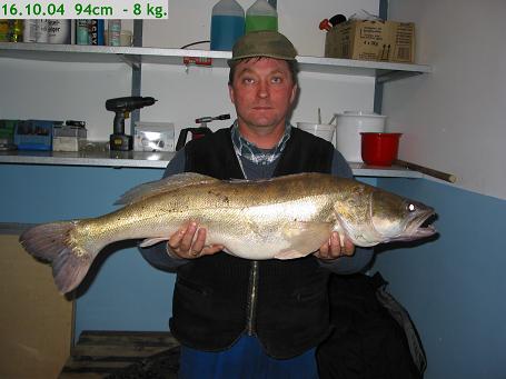 --zander - ������� (����������)