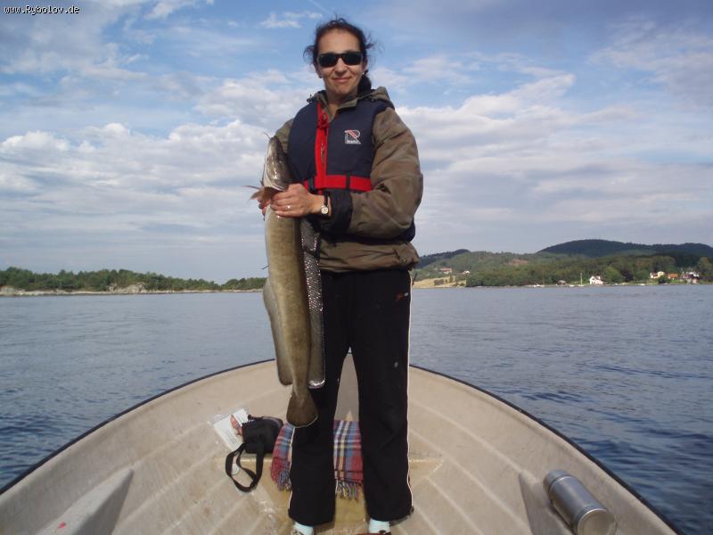 --Leng - ������� (����������)