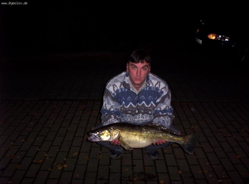 --zander - ������� (����������)