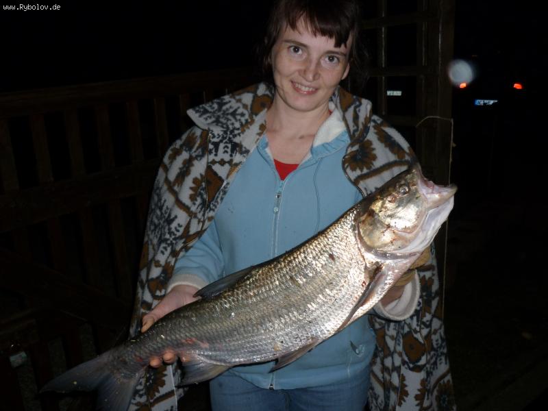 --������� � ����� ��������� �������. - ������� (����������)