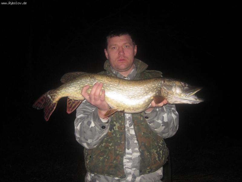 --����� - ������� (����������)