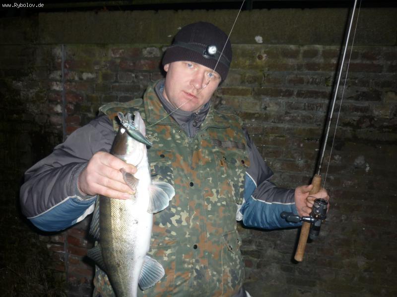 --PROLOGIC ����� � ������ - ������� (����������)