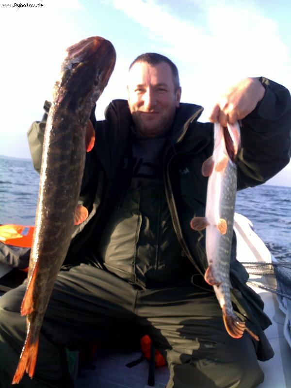 --���� - ������� (����������)