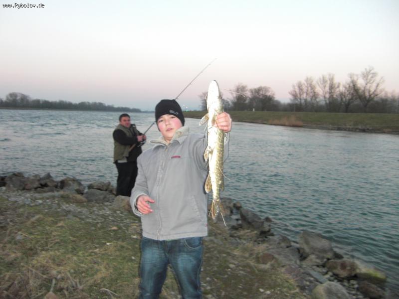 --���� ���� - ������� (����������)