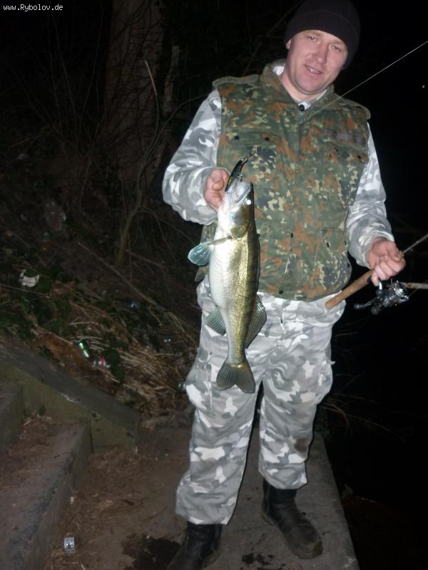 --zander - ������� (����������)