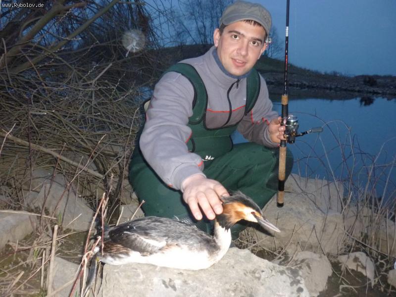 --Mochno skazat kolega!!! - ������� (����������)