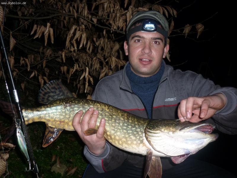 --Zubatka. - ������� (����������)