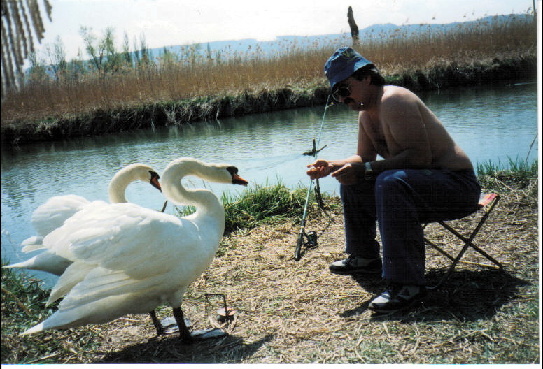 --���� ���� �� �����, ��-����� �� ������ - ������� (����������)