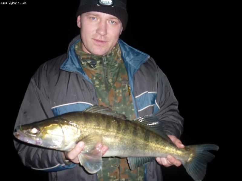 --ZANDER - ������� (����������)