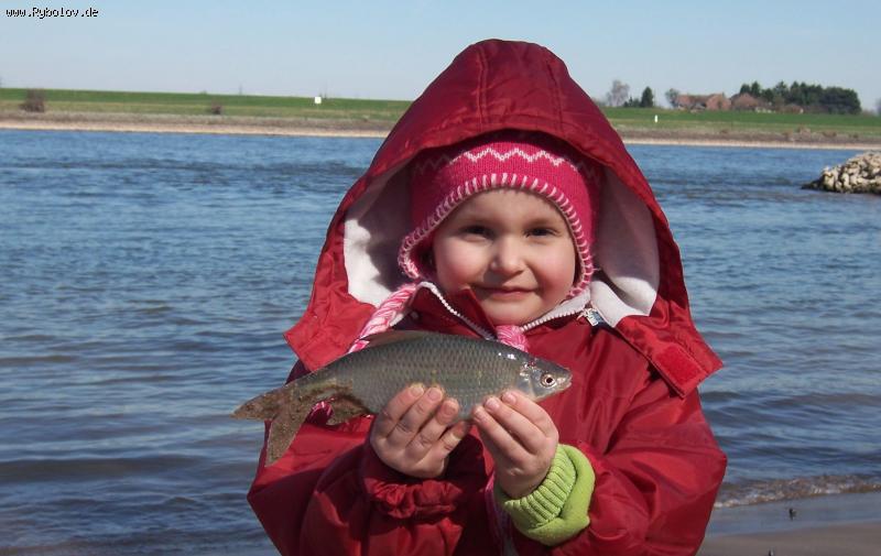 --���� � ������ �� ���������� - ������� (����������)