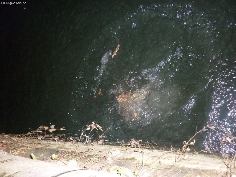 --KARAC CWOBODEN - ������� (����������)