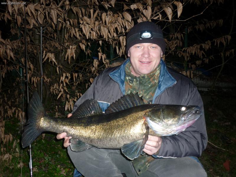 --KRASOTA - ������� (����������)