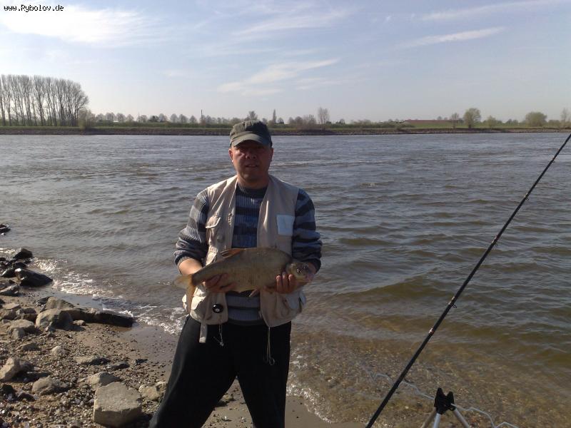 --���� - ������� (����������)