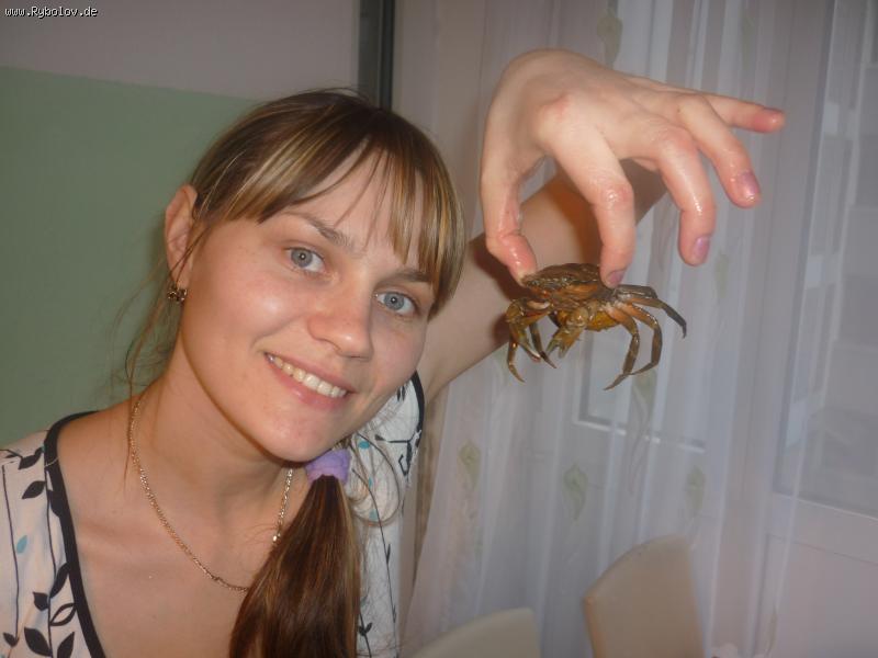 --Tipo novij Spining.))) -  ()