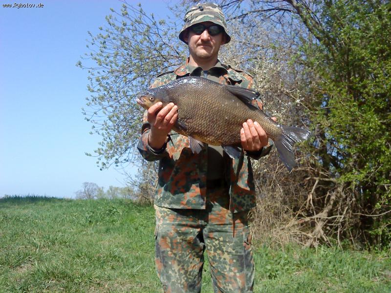 --��� 4,350 - ������� (����������)