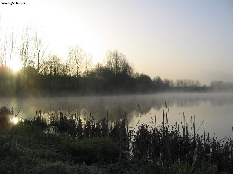 --,,Talsperre Birkungen 10.01.2011 ,, -  ()