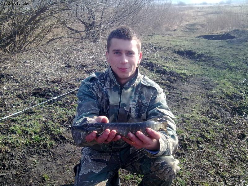 --������ � 2011 ���� - ������� (����������)