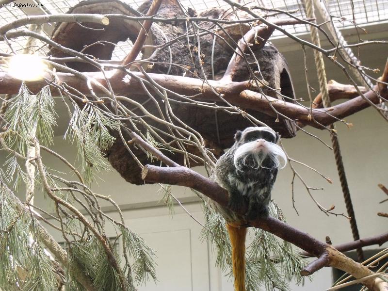 --,,Zoo Stuttgart 18.04.2011,, -  ()