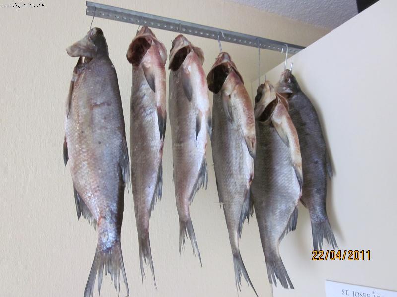 --��������� ���� - ������� (����������)