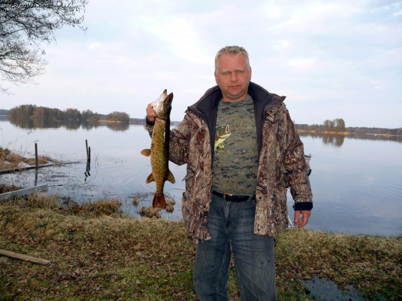 --Schweden 2011 -  ()