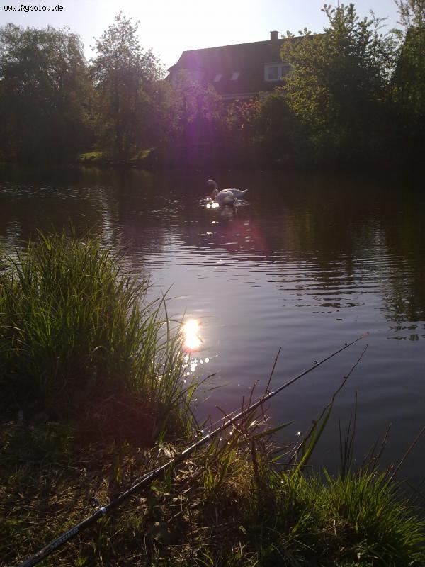 --����� - ������� (����������)