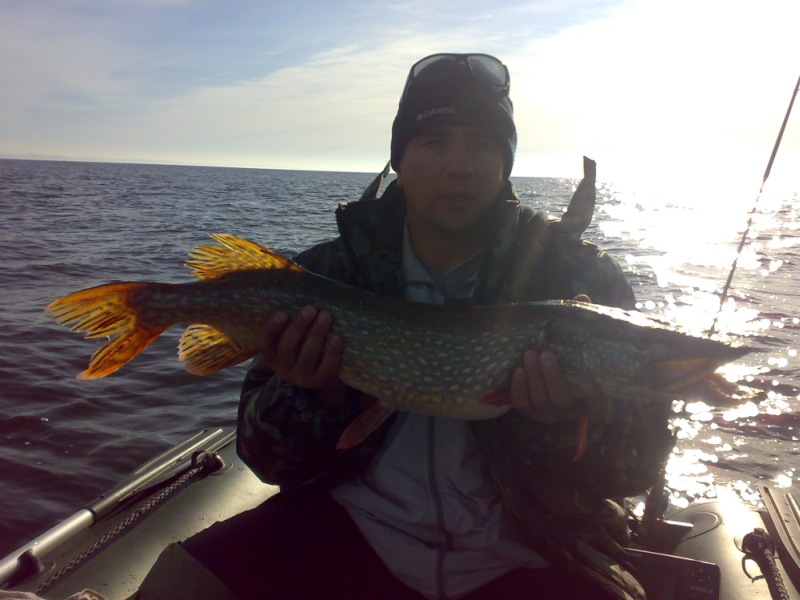 --������� ���� - ������� (����������)