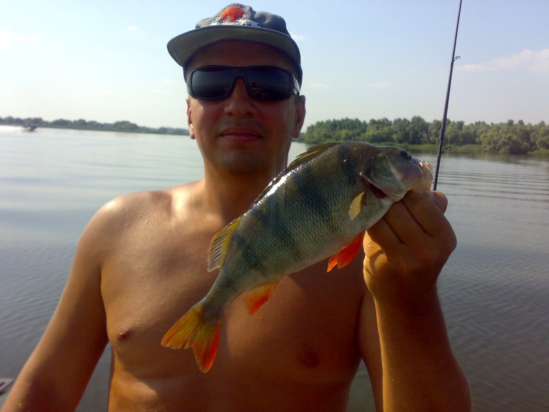 --����� - ������� (����������)