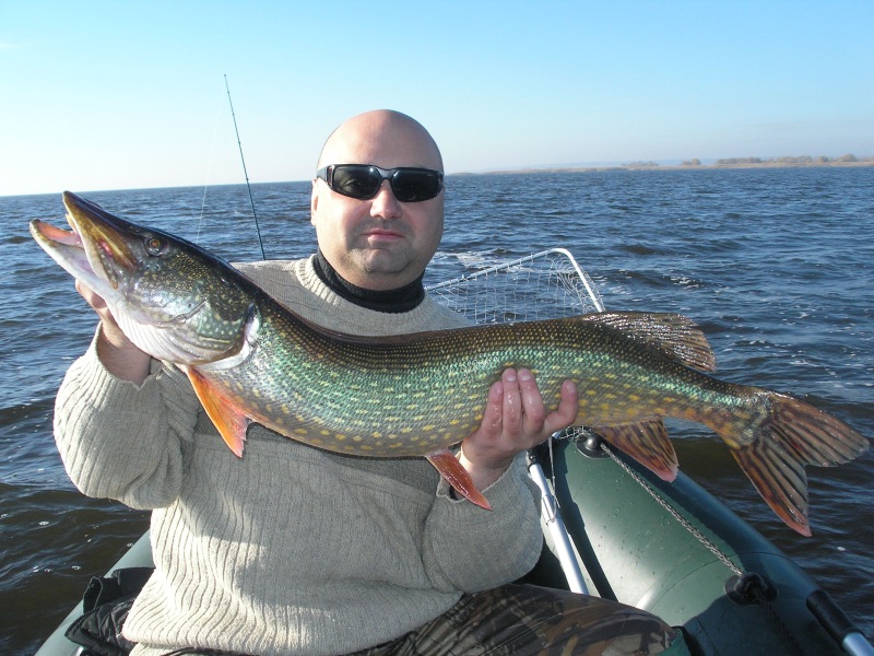 --����������� ���� - ������� (����������)