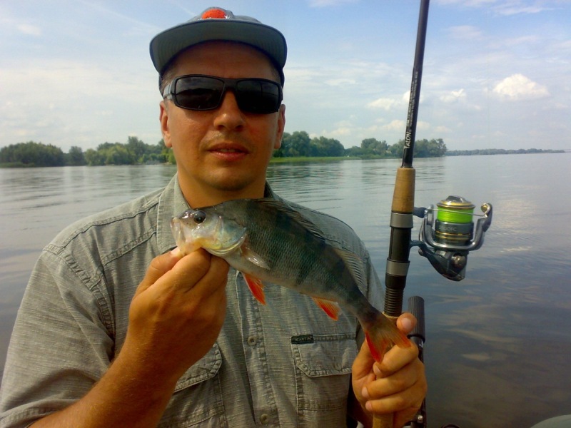 --Talon + Shimano -  ()