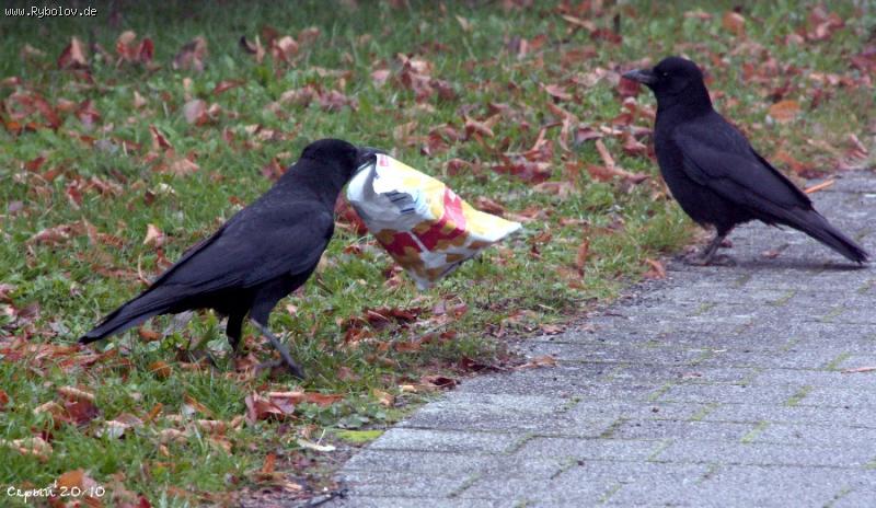 --�������� ��������! - ������� (����������)