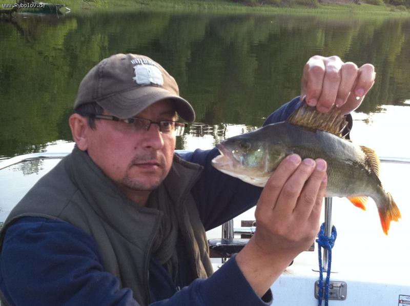 --���� - ������� (����������)