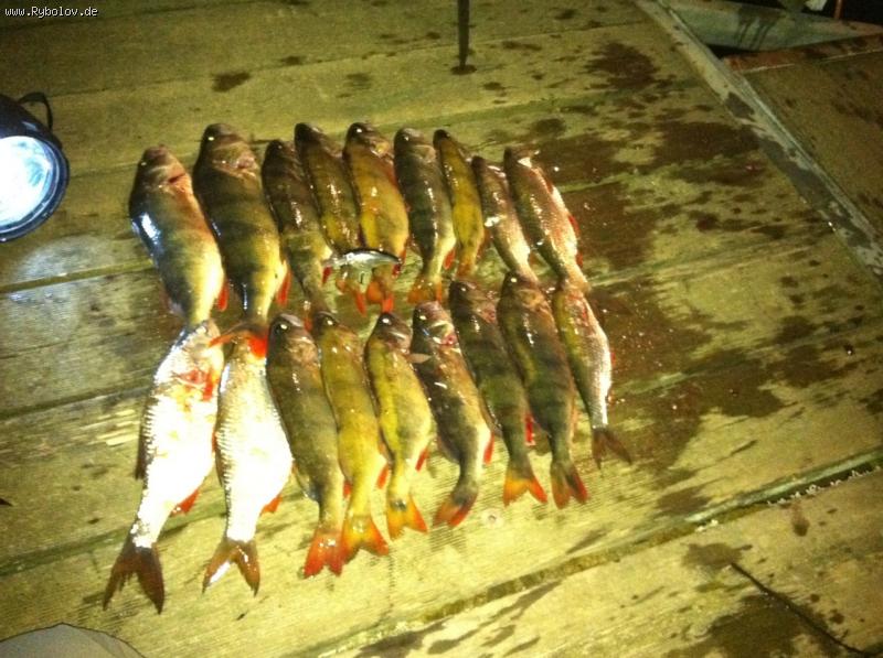 --���� �������� � �����������,������� - ������� (����������)