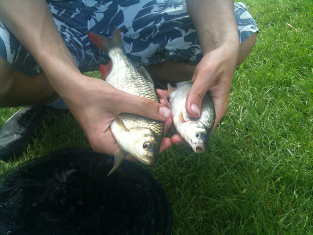 --��������� � ������� - ������� (����������)