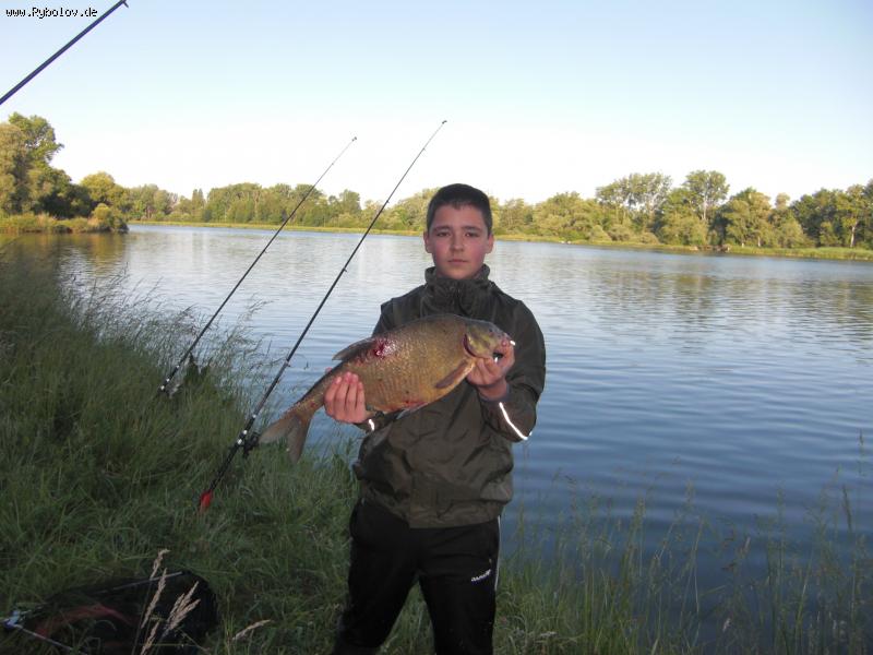 --Rhein - ������� (����������)