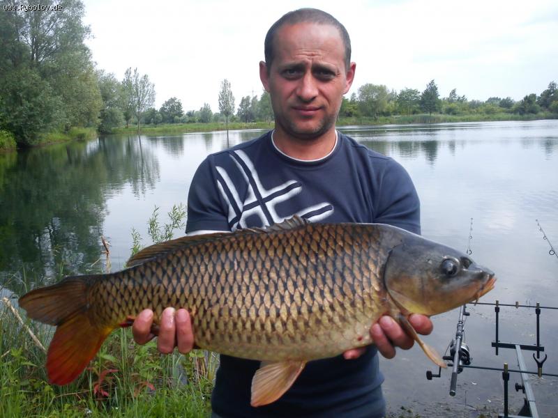 --���� - ������� (����������)