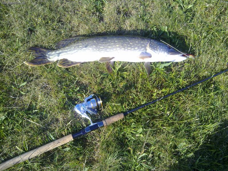 --���� - ������� (����������)