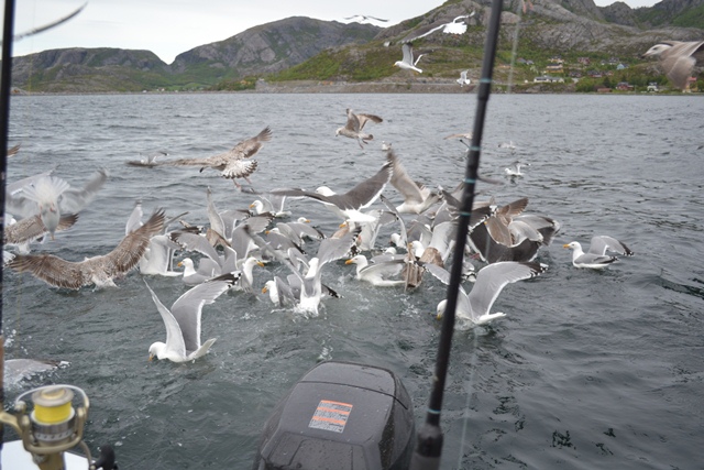 --�������� ��� 2011 - ������� (����������)