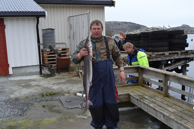 --�������� ��� 2011. - ������� (����������)