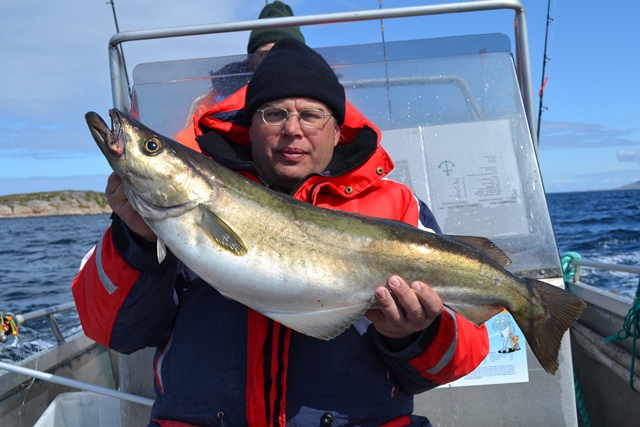 --�������� ��� 2011. - ������� (����������)