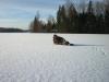 schweden -  ()